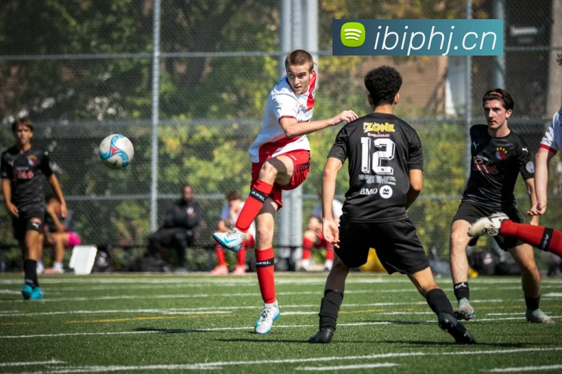 乐鱼网页版登录入口品牌故事